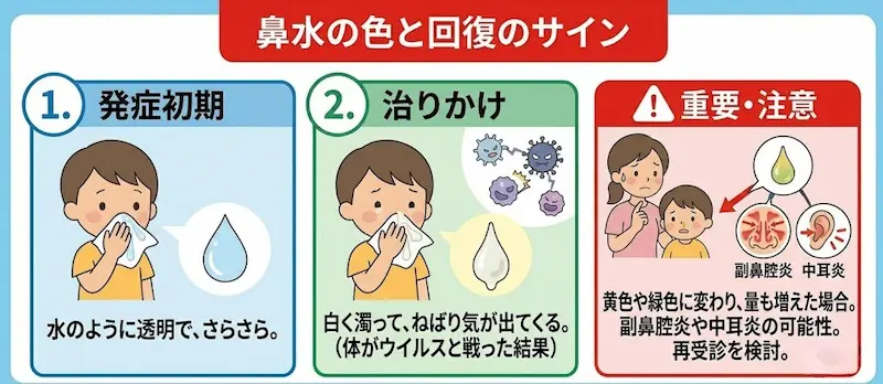 鼻水が透明から白っぽくねばり気が出てくる