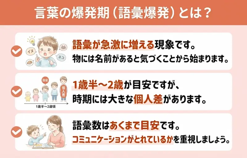 2歳の言葉の爆発期の意味と特徴_解説図