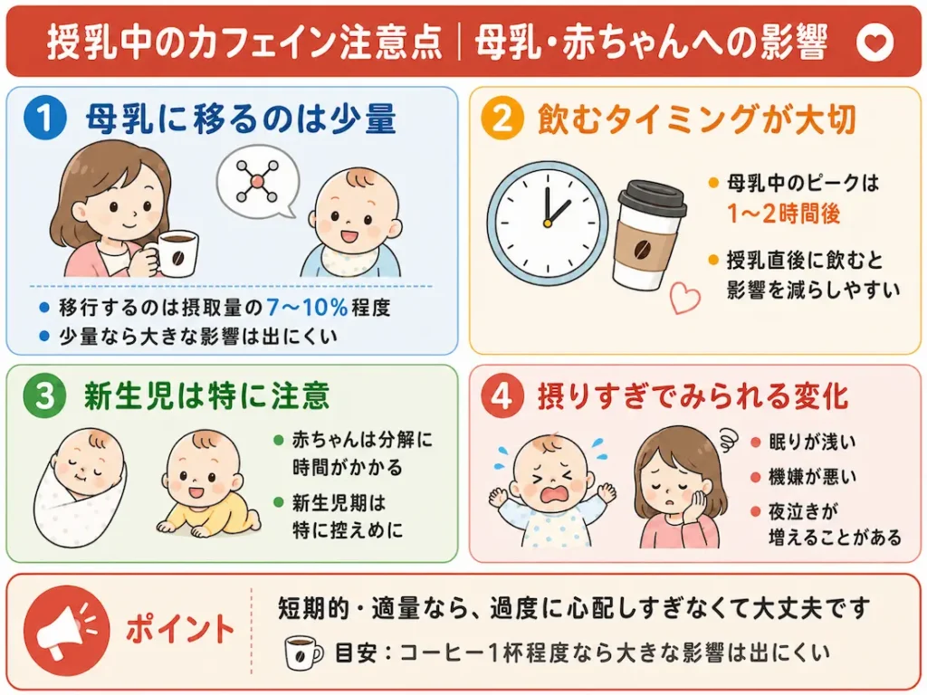 カフェイン接種の注意点と母子への影響_解説画像v2