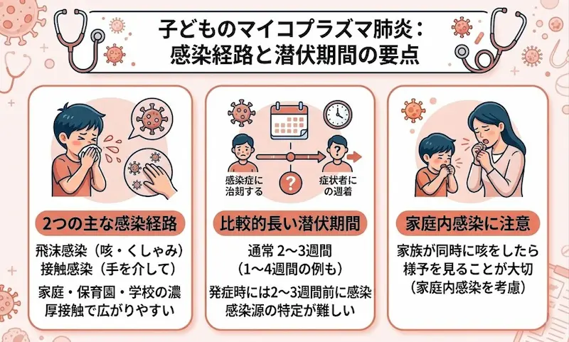 子どものマイコプラズマ肺炎の感染経路と潜伏期間の説明図