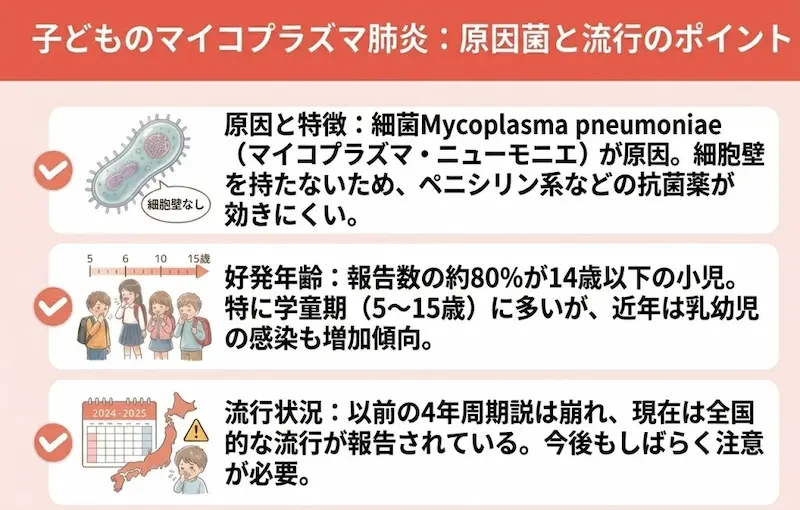 子どものマイコプラズマ肺炎の概要と特徴の説明図