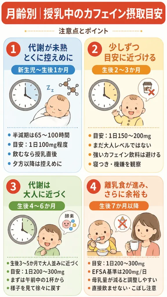 月齢別｜授乳中のカフェイン摂取で気をつけたいことv2