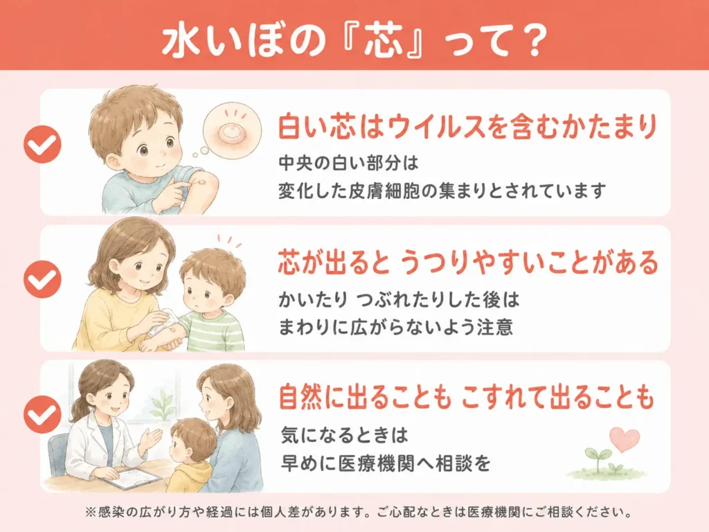 水いぼの概要と芯が出てくる理由に関する説明図 (1)