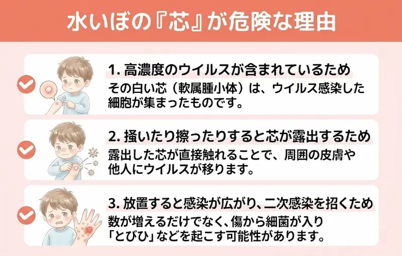 水いぼの概要と芯が出てくる理由に関する説明図