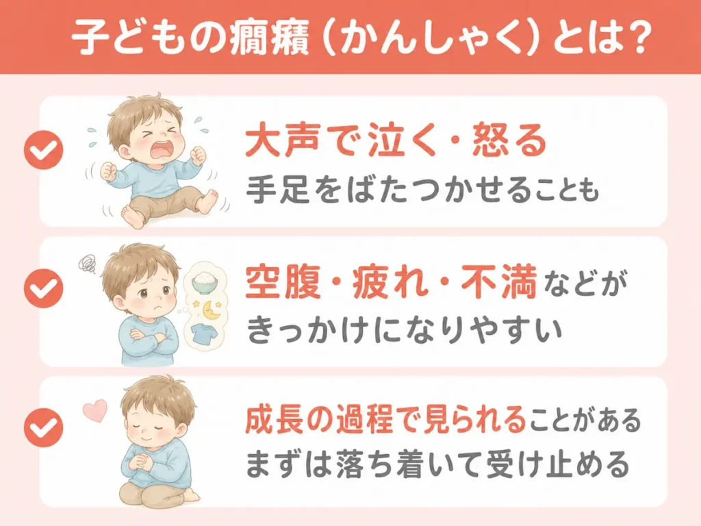 癇癪 と は