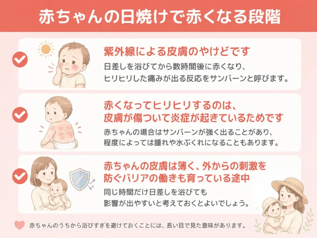 赤ちゃんの日焼けで赤くなる段階は紫外線による皮膚のやけどです_まとめ画像