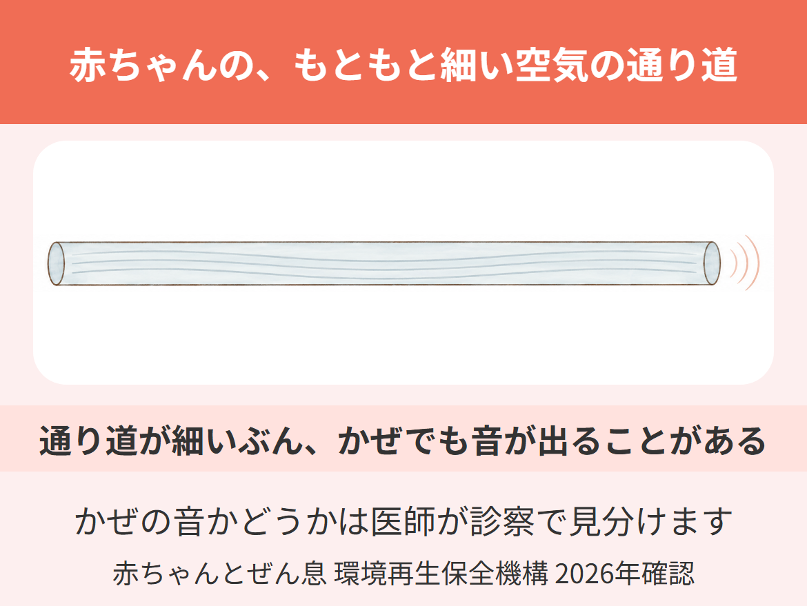 赤ちゃんがゼーゼーしやすい理由を細い管にたとえ、赤ちゃんはもともと空気の通り道が細く、かぜでも息の音が出ることがあると示した図