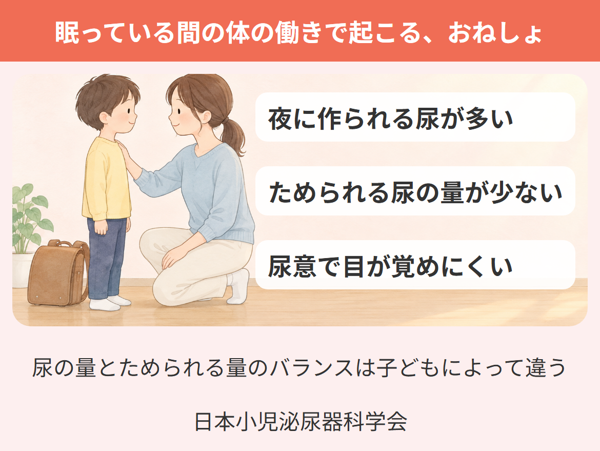 小学生の夜尿症が眠っている間の体の働きで起こることと、朝に子どもを受け止める親子の場面を示した図