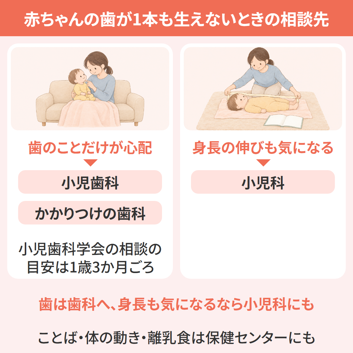 赤ちゃんの歯が生えないときの相談先を示す図(歯がまだ1本も生えていない場合)。歯のことだけが心配なら小児歯科やかかりつけの歯科へ(小児歯科学会の相談の目安は1歳3か月ごろ)、身長の伸びも気になるなら小児科にも。ことば・体の動き・離乳食は地域の保健センターにも相談できる