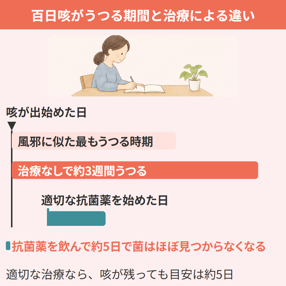百日咳がうつる期間を、咳が出始めた日からの時間軸で示した図。風邪に似た時期が最もうつり、治療なしでは約3週間うつるが、適切な抗菌薬を飲んで約5日で菌はほぼ見つからなくなる